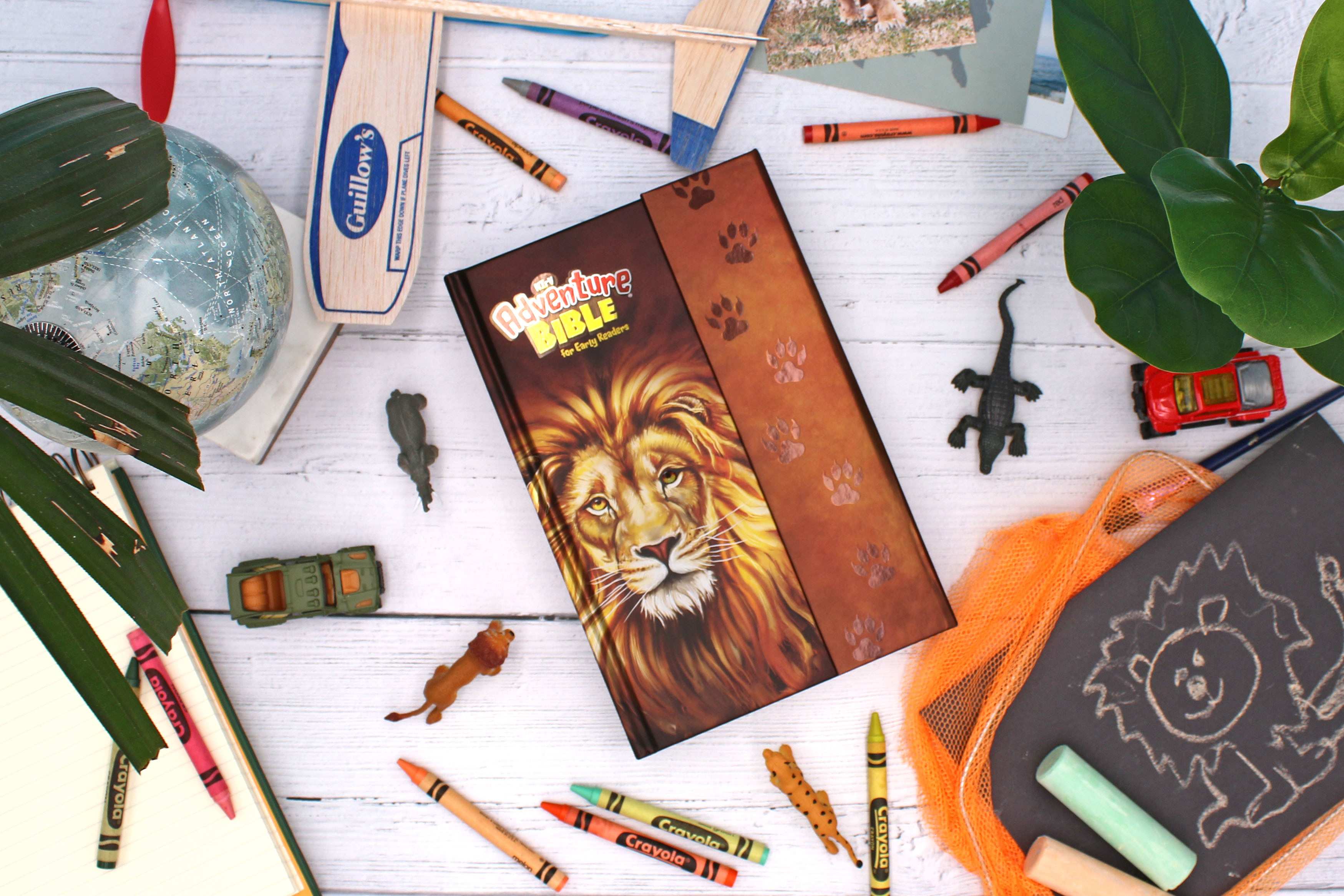 NIrV, Adventure Bible for Early Readers, Full Color Interior - Image 18