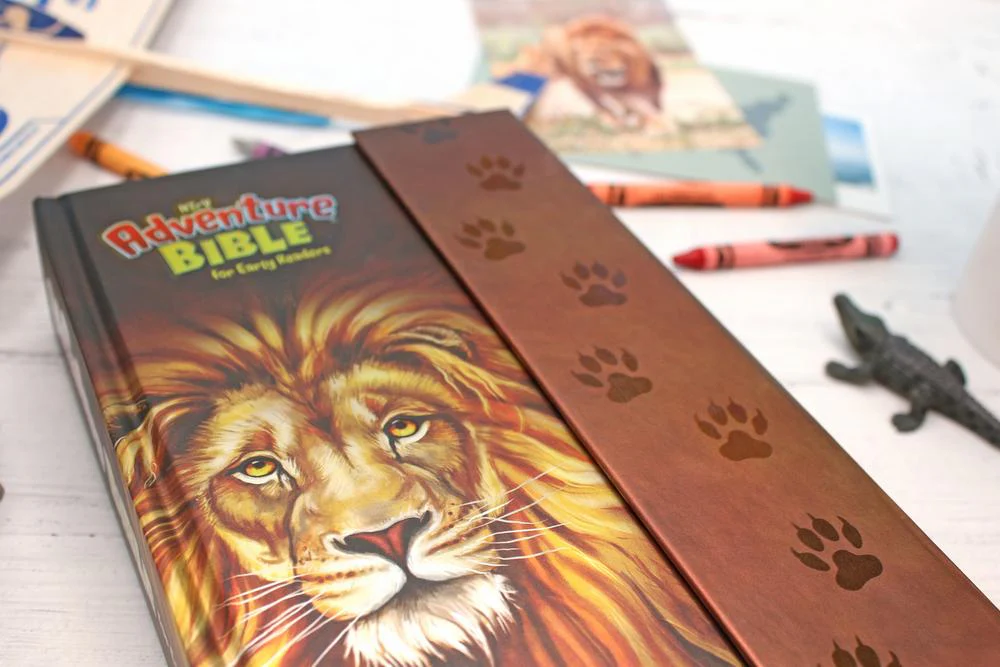 NIrV, Adventure Bible for Early Readers, Full Color Interior - Image 19