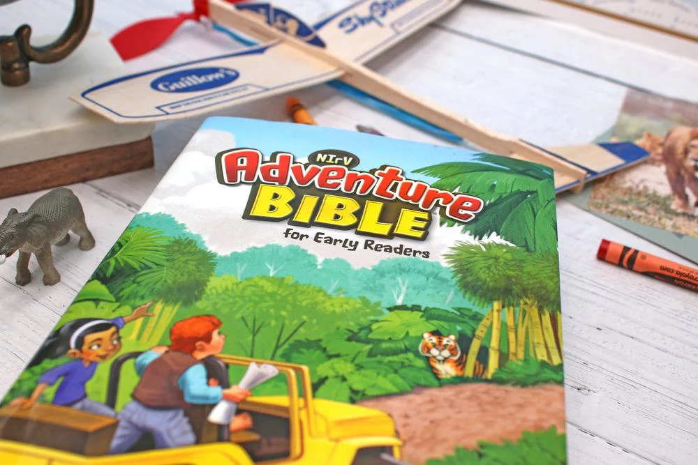 NIrV, Adventure Bible for Early Readers, Full Color Interior - Image 21