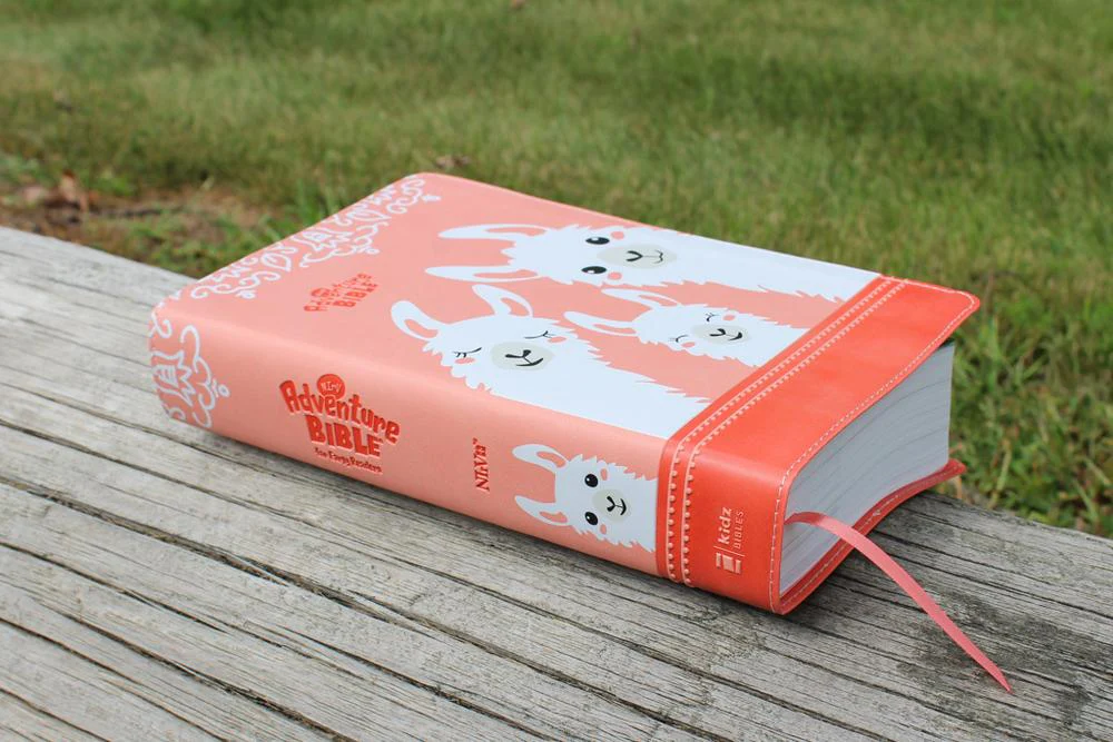 NIrV, Adventure Bible for Early Readers, Full Color Interior - Image 26