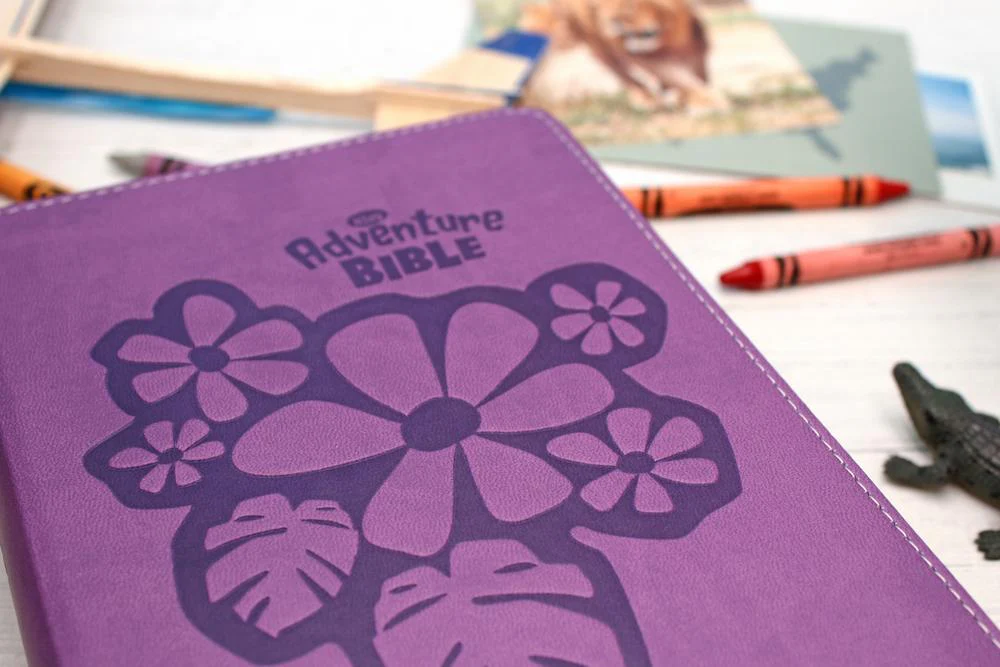 NIrV, Adventure Bible for Early Readers, Full Color Interior - Image 35