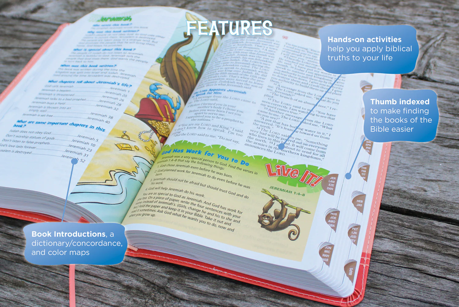 NIrV, Adventure Bible for Early Readers, Full Color Interior - Image 41
