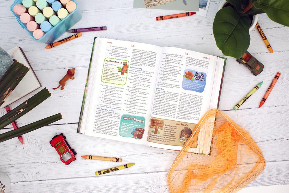 NIrV, Adventure Bible for Early Readers, Full Color Interior - Image 43