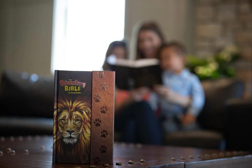 NIrV, Adventure Bible for Early Readers, Full Color Interior - Image 45
