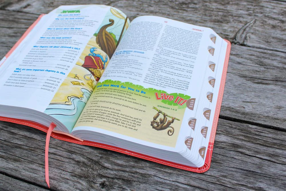 NIrV, Adventure Bible for Early Readers, Full Color Interior - Image 54