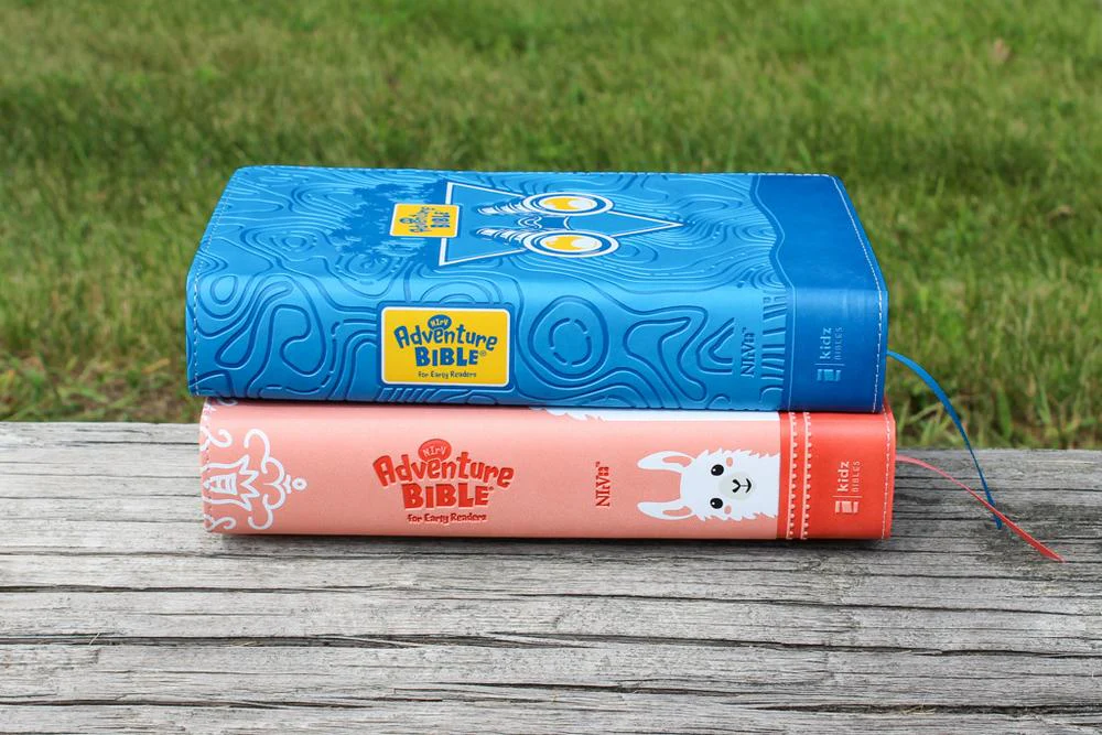 NIrV, Adventure Bible for Early Readers, Full Color Interior - Image 57