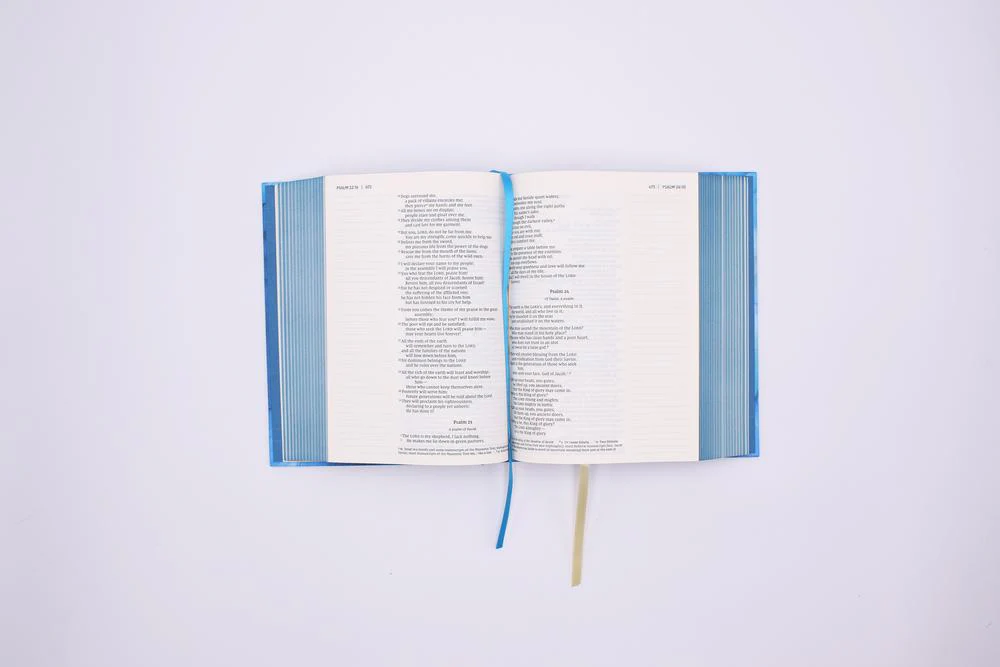 NIV, Artisan Collection Bible, Gilded Edges, Red Letter Edition, Comfort Print - Image 16