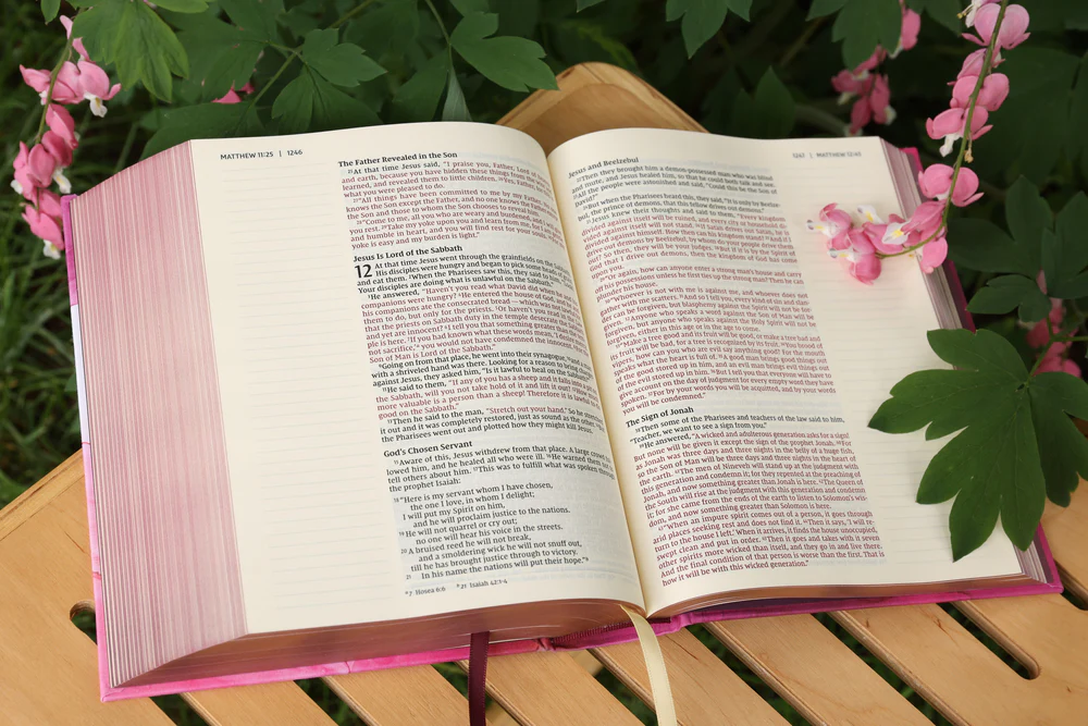 NIV, Artisan Collection Bible, Gilded Edges, Red Letter Edition, Comfort Print - Image 28