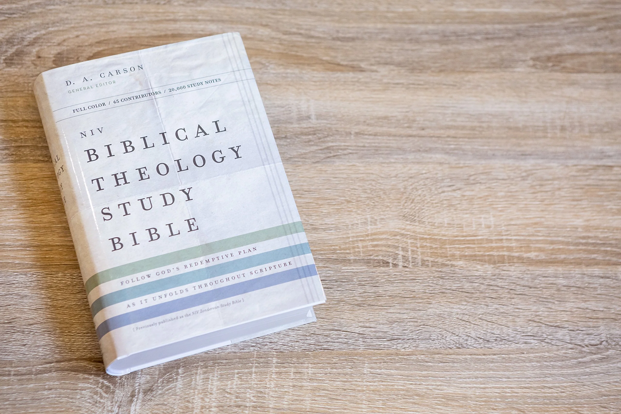 NIV, Biblical Theology Study Bible, Comfort Print: Follow God’s Redemptive Plan as It Unfolds throughout Scripture - Image 14