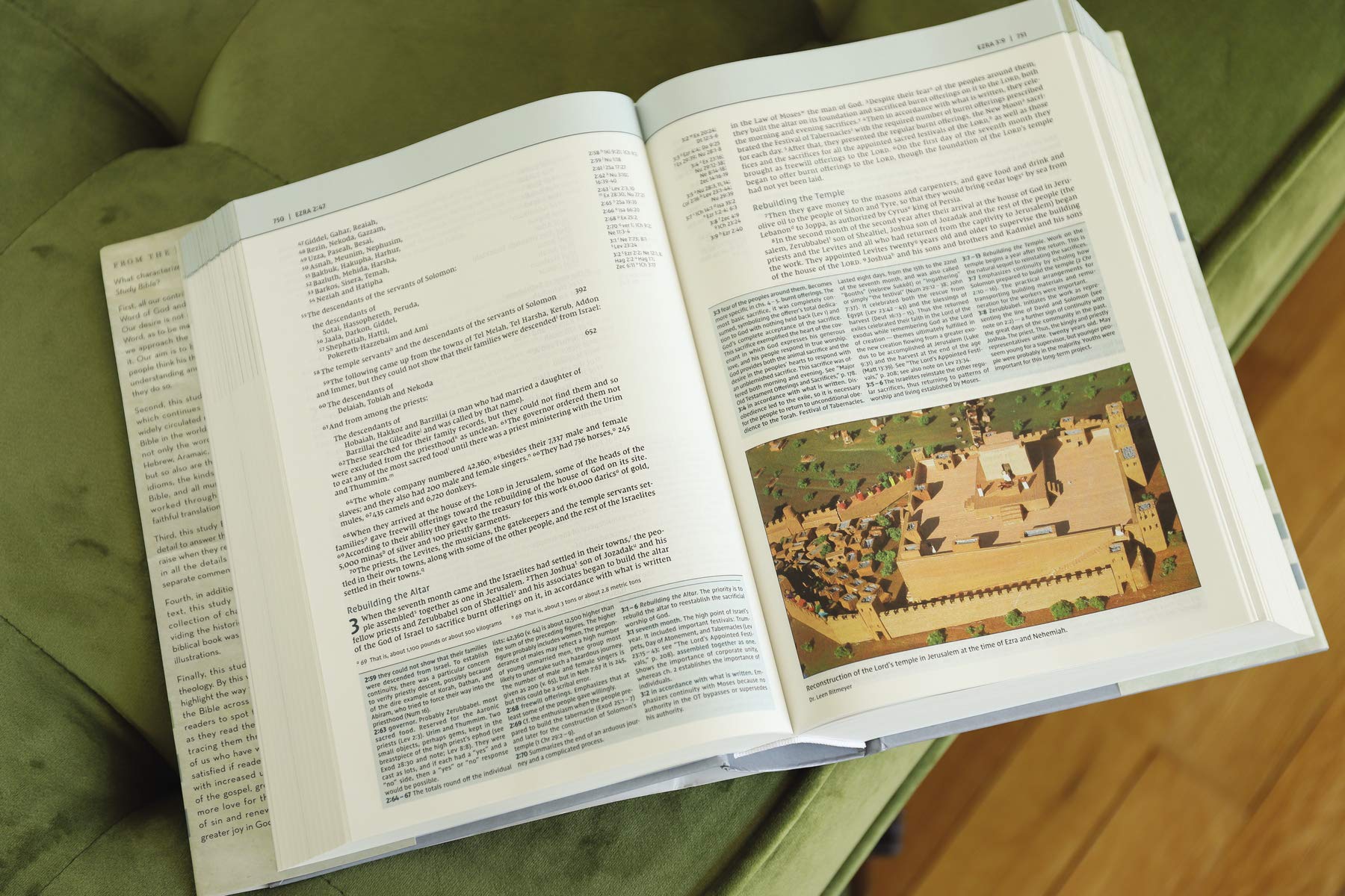 NIV, Biblical Theology Study Bible, Comfort Print: Follow God’s Redemptive Plan as It Unfolds throughout Scripture - Image 17
