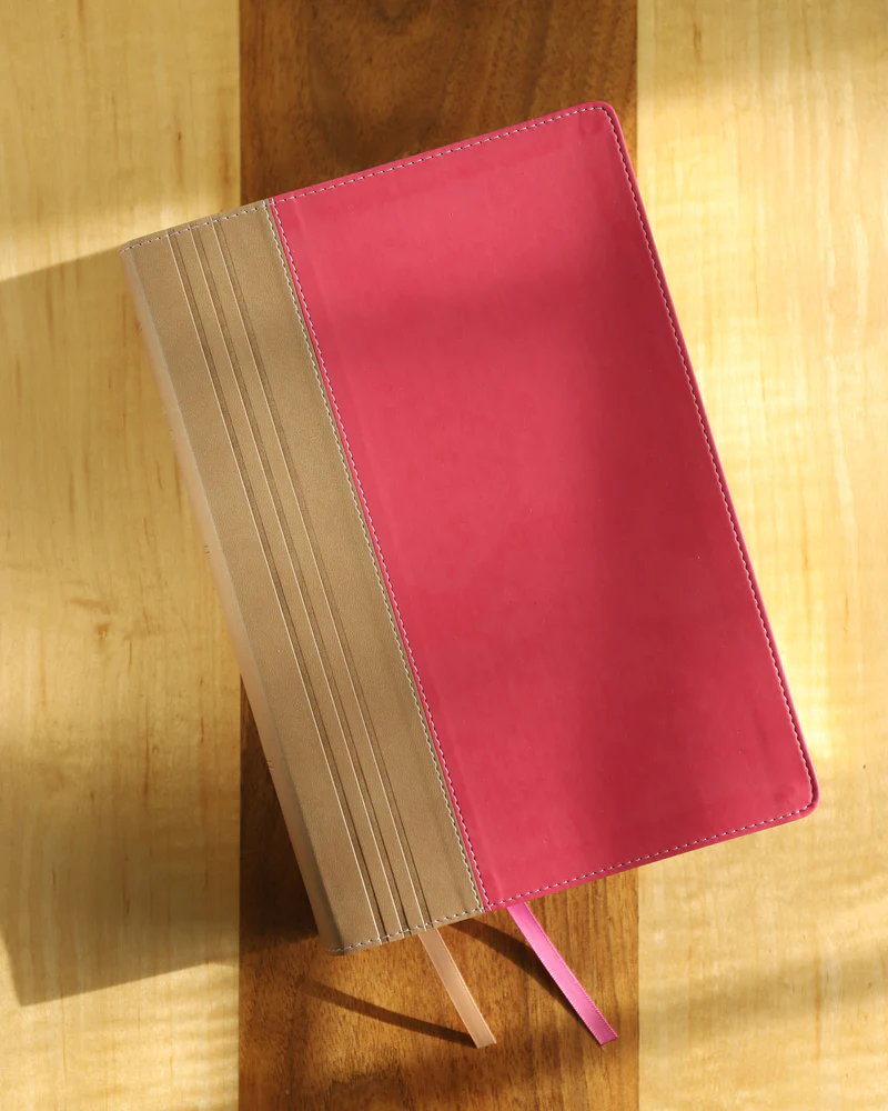 NIV, Biblical Theology Study Bible, Comfort Print: Follow God’s Redemptive Plan as It Unfolds throughout Scripture - Image 38