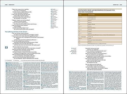 NIV, Biblical Theology Study Bible, Comfort Print: Follow God’s Redemptive Plan as It Unfolds throughout Scripture - Image 70