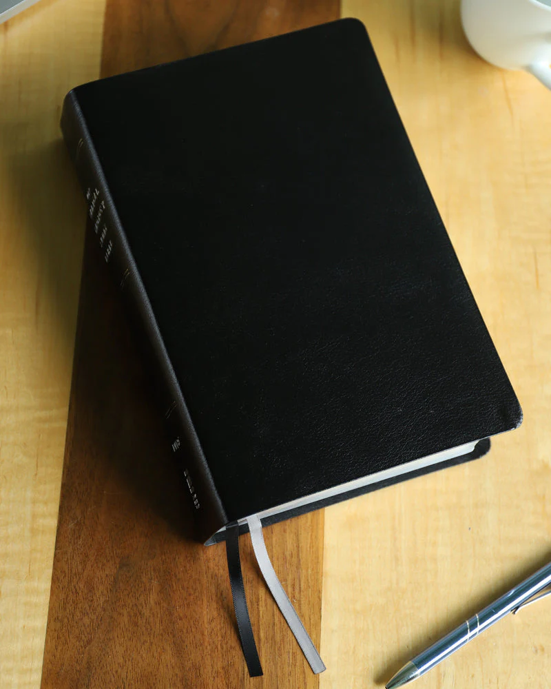 NIV, Biblical Theology Study Bible, Comfort Print: Follow God’s Redemptive Plan as It Unfolds throughout Scripture - Image 80