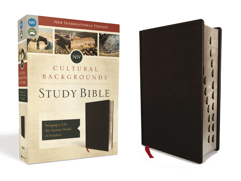 NIV, Cultural Backgrounds Study Bible, Red Letter Edition: Bringing to Life the Ancient World of Scripture - Image 37