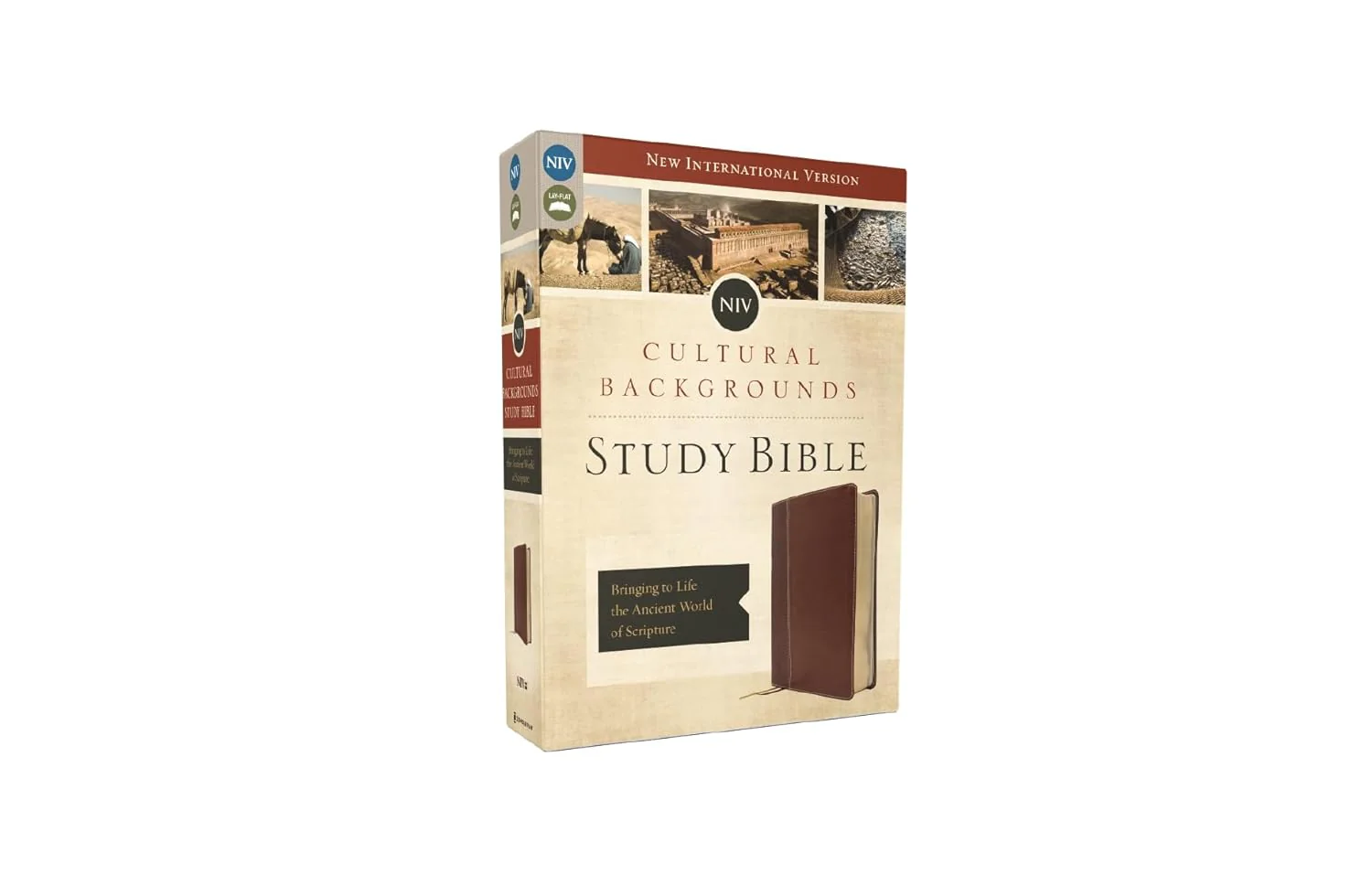 NIV, Cultural Backgrounds Study Bible, Red Letter Edition: Bringing to Life the Ancient World of Scripture - Image 64