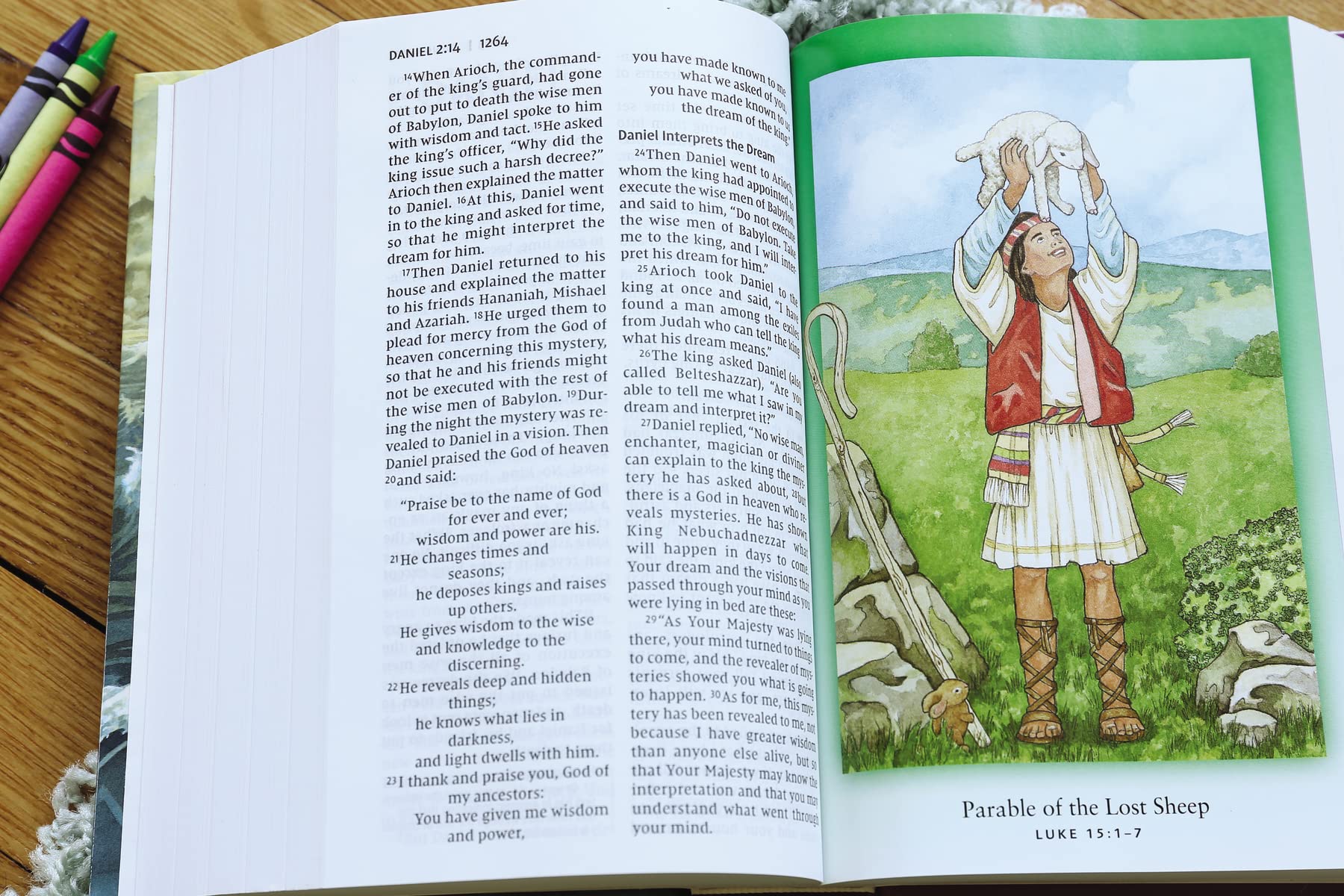 NIV, Discoverer's Bible, Large Print, Hardcover - Image 8