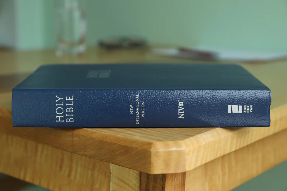 NIV, Gift and Award Bible, Leather-Look, Red Letter Edition, Comfort Print - Image 10