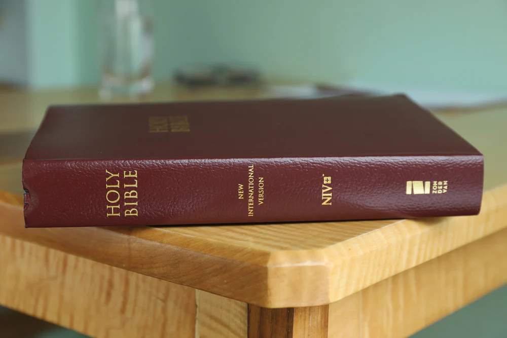 NIV, Gift and Award Bible, Leather-Look, Red Letter Edition, Comfort Print - Image 18