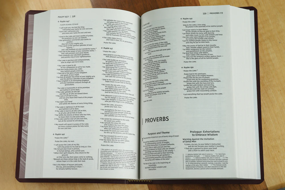 NIV, Gift and Award Bible, Leather-Look, Red Letter Edition, Comfort Print - Image 19