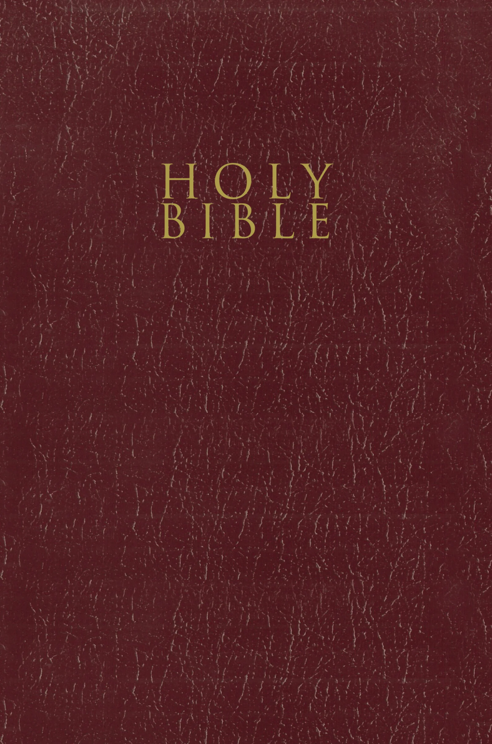 NIV, Gift and Award Bible, Leather-Look, Red Letter Edition, Comfort Print - Image 23