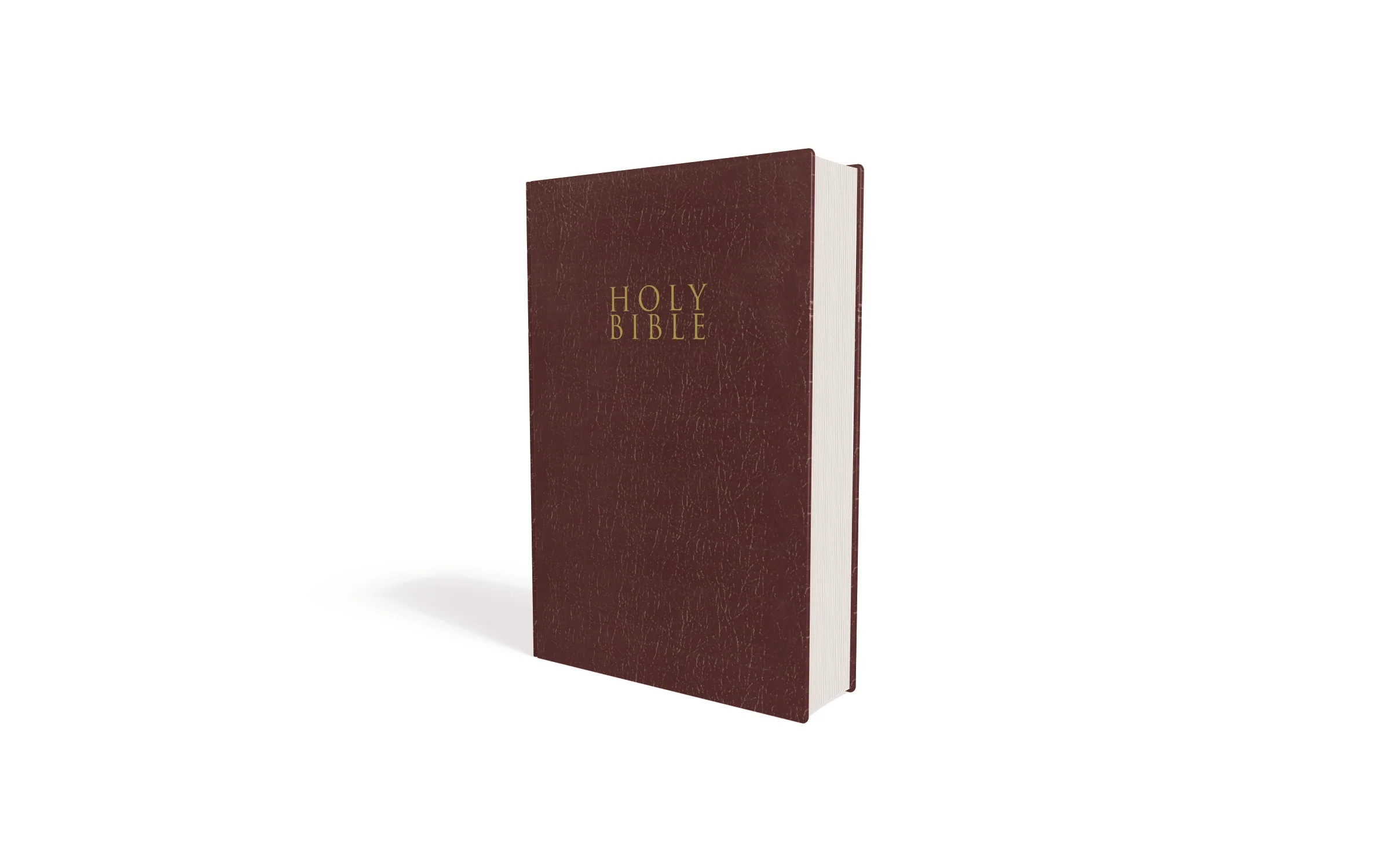 NIV, Gift and Award Bible, Leather-Look, Red Letter Edition, Comfort Print - Image 24