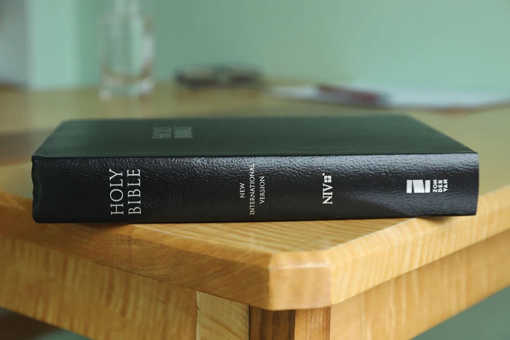 NIV, Gift and Award Bible, Leather-Look, Red Letter Edition, Comfort Print - Image 3