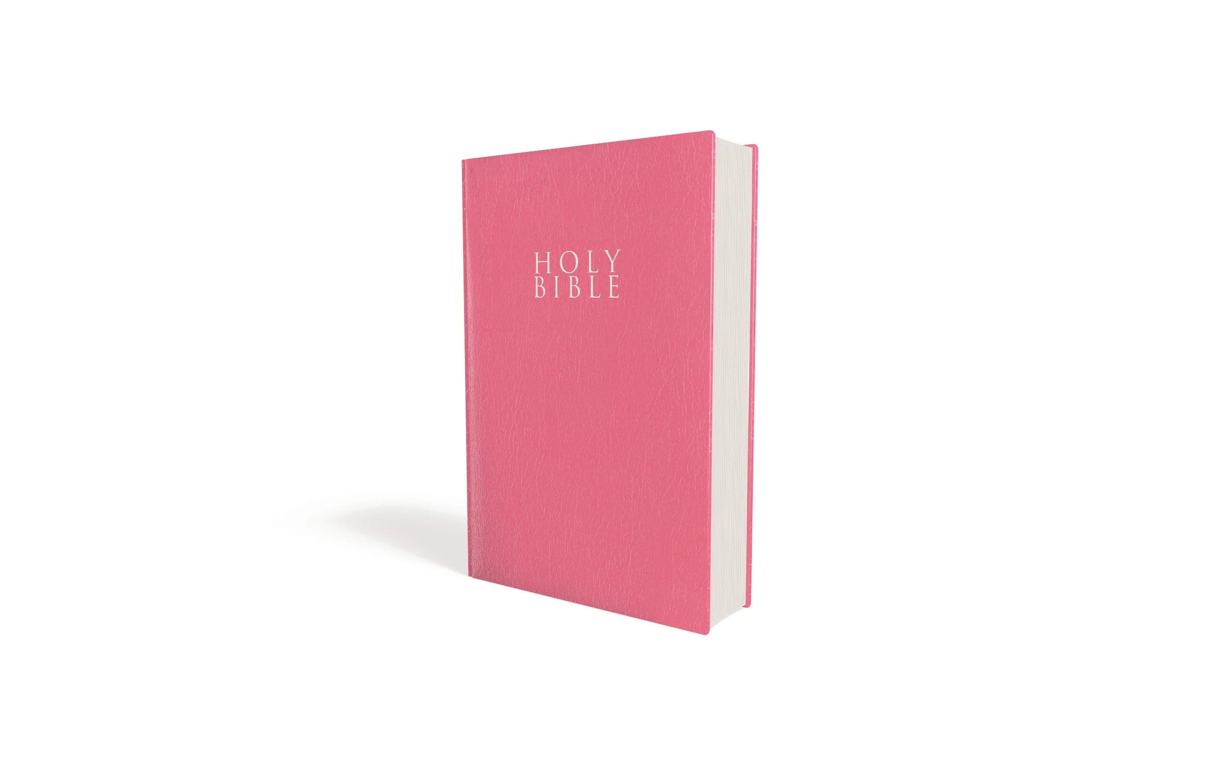 NIV, Gift and Award Bible, Leather-Look, Red Letter Edition, Comfort Print - Image 40