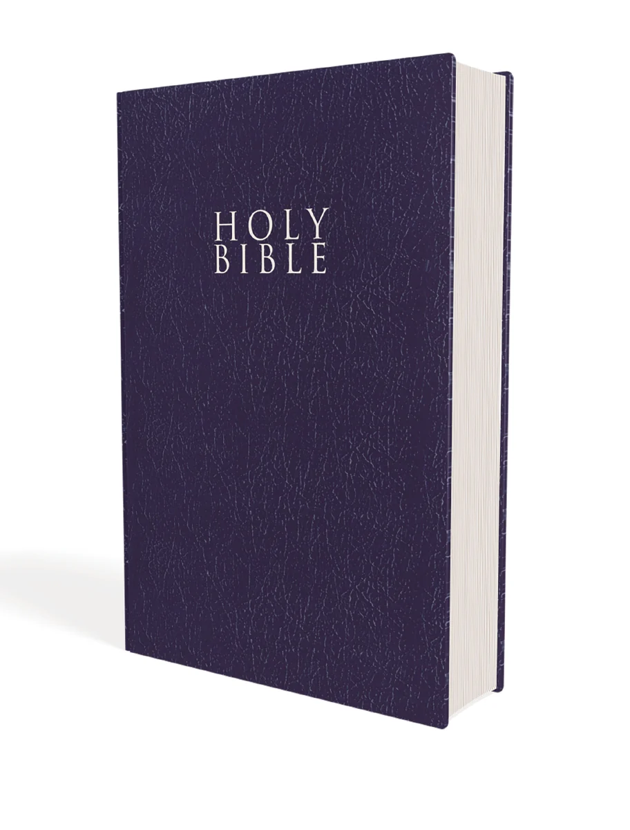 NIV, Gift and Award Bible, Leather-Look, Red Letter Edition, Comfort Print - Image 42