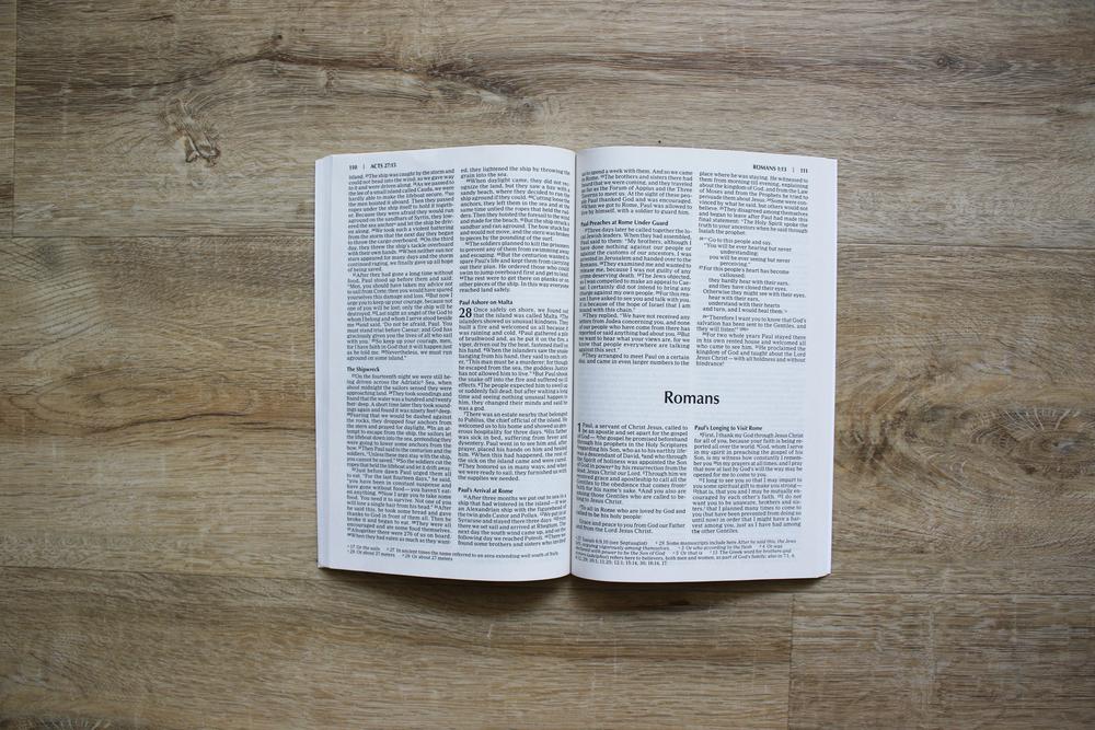 NIV, Outreach New Testament, Paperback - Image 10