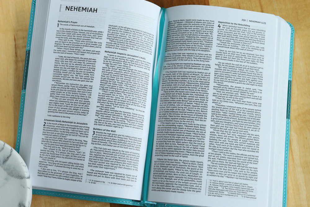 NIV, Premium Gift Bible, Red Letter Edition, Comfort Print: The Perfect Bible for Any Gift-Giving Occasion - Image 12