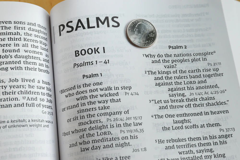 NIV, Reference Bible, Giant Print, Red Letter Edition, Comfort Print - Image 26