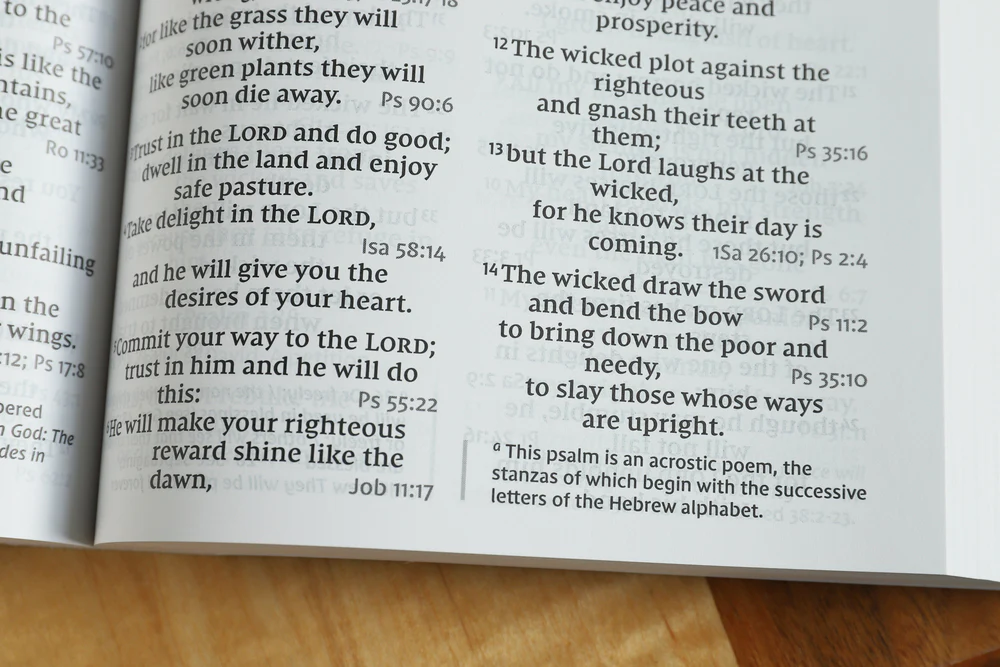 NIV, Reference Bible, Giant Print, Red Letter Edition, Comfort Print - Image 28