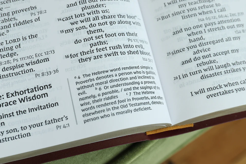 NIV, Reference Bible, Giant Print, Red Letter Edition, Comfort Print - Image 42