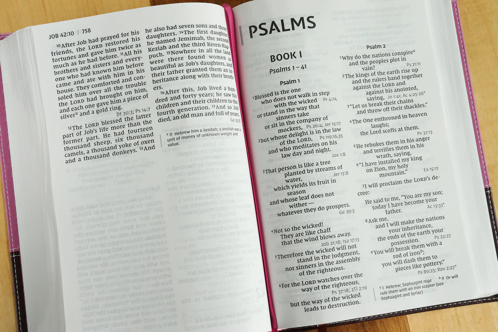 NIV, Reference Bible, Giant Print, Red Letter Edition, Comfort Print - Image 58