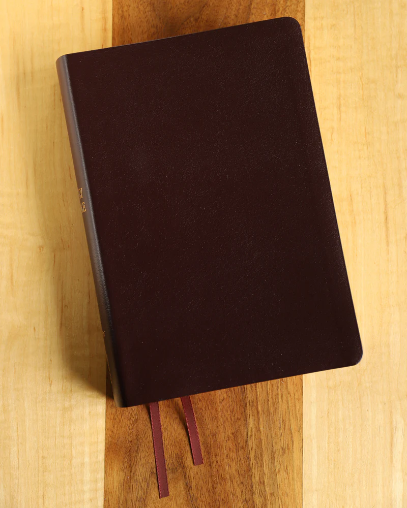 NIV, Reference Bible, Giant Print, Red Letter Edition, Comfort Print - Image 61