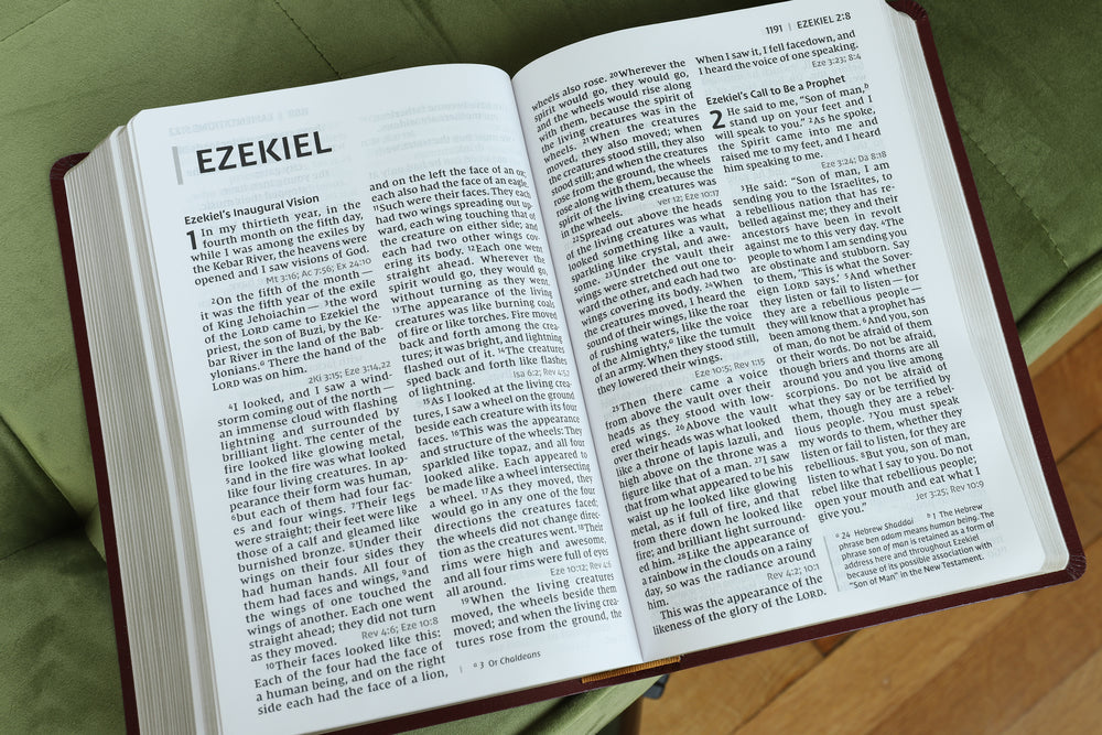 NIV, Reference Bible, Giant Print, Red Letter Edition, Comfort Print - Image 74