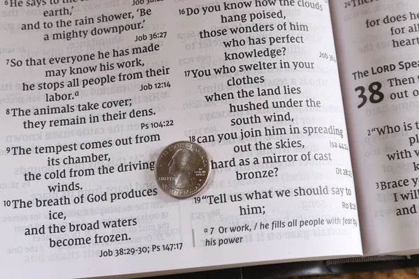 NIV, Super Giant Print Reference Bible, Red Letter Edition, Comfort Print - Image 12