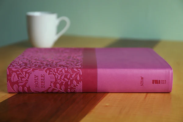 NIV, Super Giant Print Reference Bible, Red Letter Edition, Comfort Print - Image 16