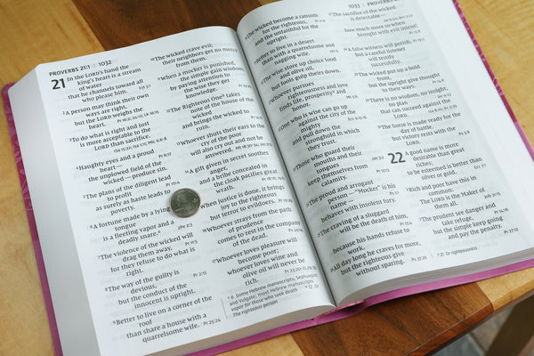 NIV, Super Giant Print Reference Bible, Red Letter Edition, Comfort Print - Image 19