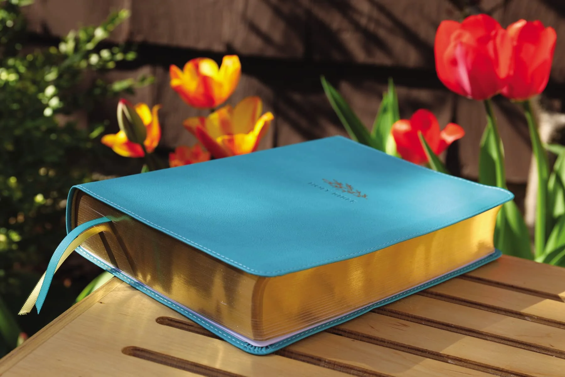 NIV, Women's Devotional Bible (By Women, for Women), Large Print, Leathersoft, Teal, Comfort Print - Image 4