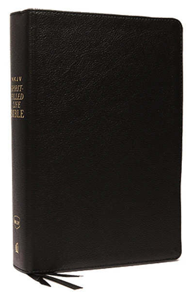NKJV, Spirit-Filled Life Bible, Third Edition, Red Letter Edition, Comfort Print: Kingdom Equipping Through the Power of the Word - Image 10
