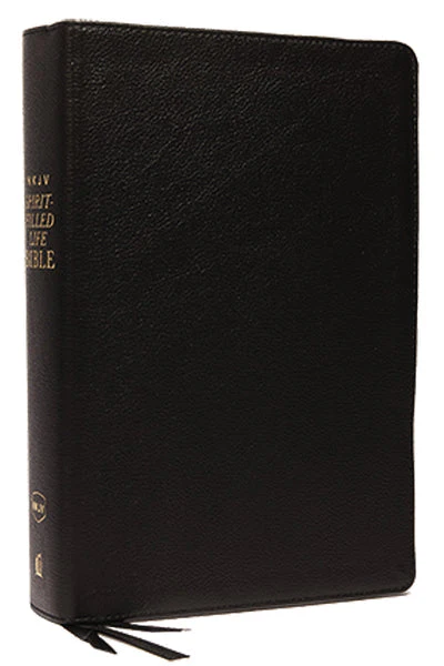 NKJV, Spirit-Filled Life Bible, Third Edition, Red Letter Edition, Comfort Print: Kingdom Equipping Through the Power of the Word - Image 12