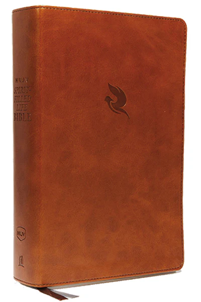 NKJV, Spirit-Filled Life Bible, Third Edition, Red Letter Edition, Comfort Print: Kingdom Equipping Through the Power of the Word - Image 9