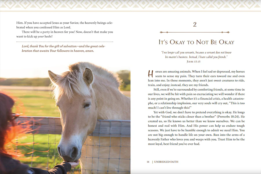 Unbridled Faith: 100 Devotions from the Horse Farm - A Daily Devotional - The Perfect Christian Gift for Horse Lovers and Equestrian Enthusiasts - Image 4